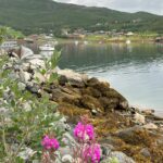 Gladnyhet til Komagfjord