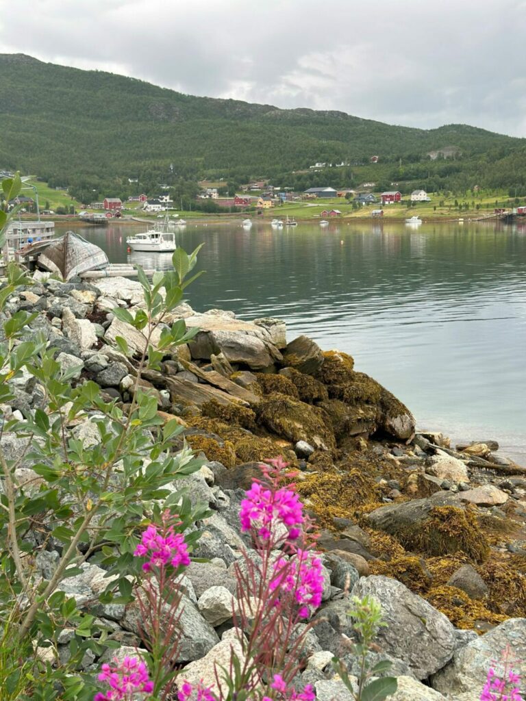 Gladnyhet til Komagfjord